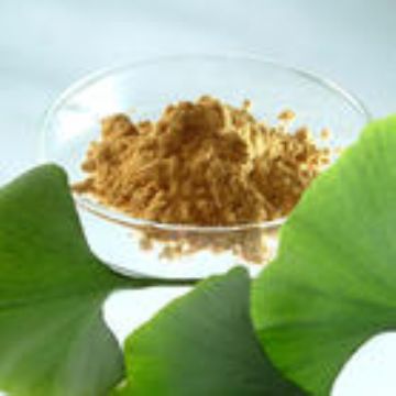 Ginkgo Biloba Extract